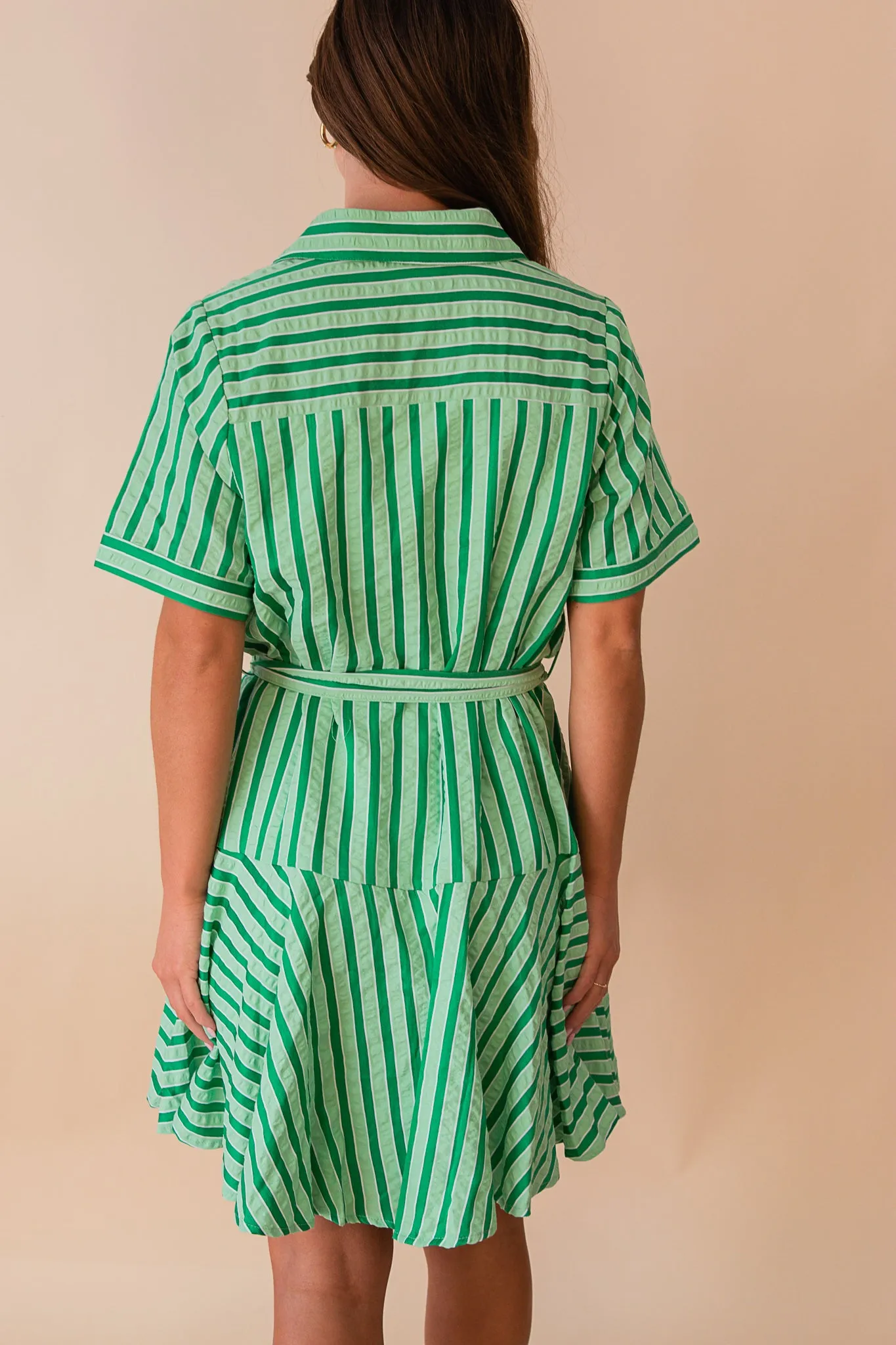 Explorer Dress